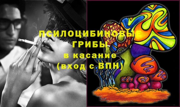хмурый Алексеевка