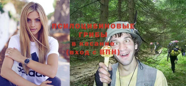 соль ск Алзамай