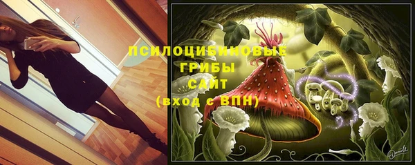 хмурый Алексеевка